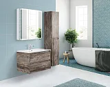 Зеркало-шкаф BelBagno Marino 60x80 SPC-MAR-800/800-2A-LED-TCH с подсветкой фото 13