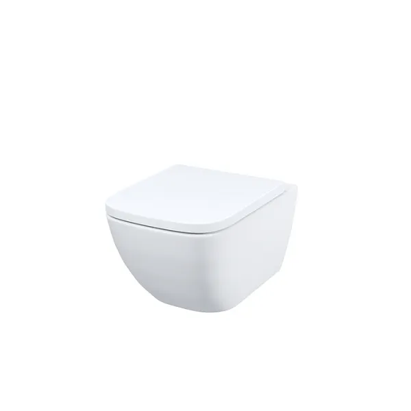 Унитаз Iddis Torr TORRDSEi25 подвесной безободковый с сиденьем микролифт фото 1