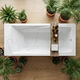 Ванна из искусственного камня Delice Respect DLR330045-G фото 6