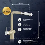 Смеситель для кухонной мойки PAINI Cox HD55566CR1KM фото 2