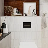 Смывная клавиша для унитазов Lavinia Boho RelFix 38050801 фото 2