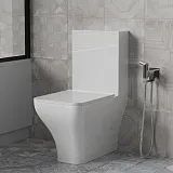 Гигиенический душ PAINI Bella BLCR442 фото 5