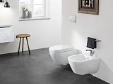 Унитаз Villeroy & Boch Subway 2.0 5614 R0R1 подвесной безободковый фото 4