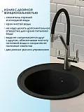 Смеситель для кухонной мойки Watersense Rita W01768 фото 2