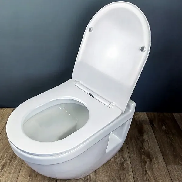 Унитаз подвесной Teymi Nancy Pro W00162 подвесной безободковый с микролифтом фото 13