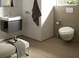 Смывная клавиша для унитазов Berges Wasserhaus Novum 040033 фото 3