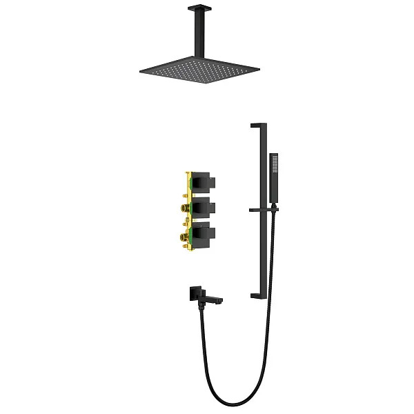 Душевой комплект TIMO Selene SX-2239/03SM фото 1