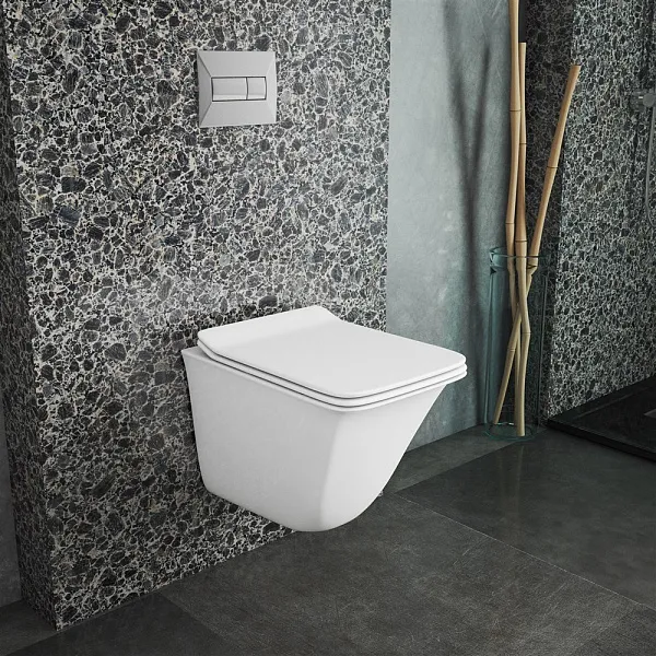 Унитаз OWL 1975 Eter Ruta-H OWLT190203 подвесной безободковый с микролифтом фото 5