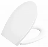 Крышка-сиденье BelBagno BB2004SC с микролифтом фото 1