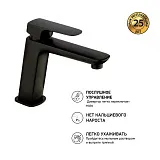 Смеситель для раковины PAINI Nove 09YO205ME фото 3