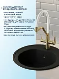 Смеситель для кухонной мойки Watersense Rita W01770 фото 2