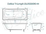 Ванна из искусственного камня Delice Triumph DLR330010-M фото 1