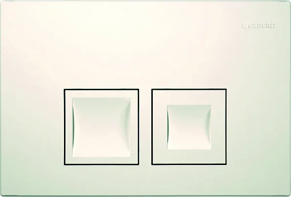 Смывная клавиша для унитазов Geberit Delta 50 115.135.11.1 фото 1