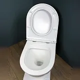 Унитаз подвесной Teymi Milana S W00078 подвесной безободковый с микролифтом фото 9