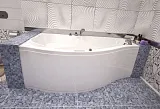 Акриловая ванна Aquanet Palma 170x90 00204022 левая фото 4