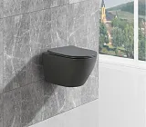 Унитаз Esbano Amapola ESUPAMAPGM подвесной безободковый с микролифтом фото 2