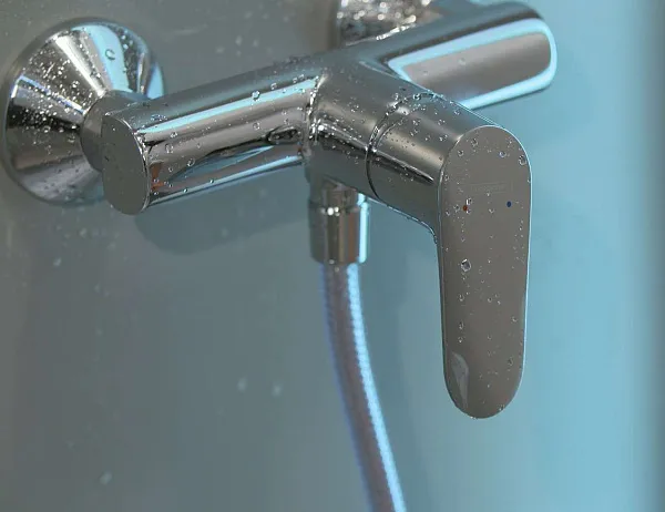 Смеситель Hansgrohe Focus 31960000 для душа фото 3