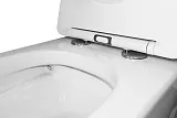 Унитаз Azario Ollin AZ-0513R подвесной безободковый с сиденьем микролифт фото 6