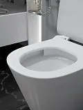 Унитаз подвесной Teymi Rita Pro Vortex W00751 подвесной безободковый с микролифтом фото 11