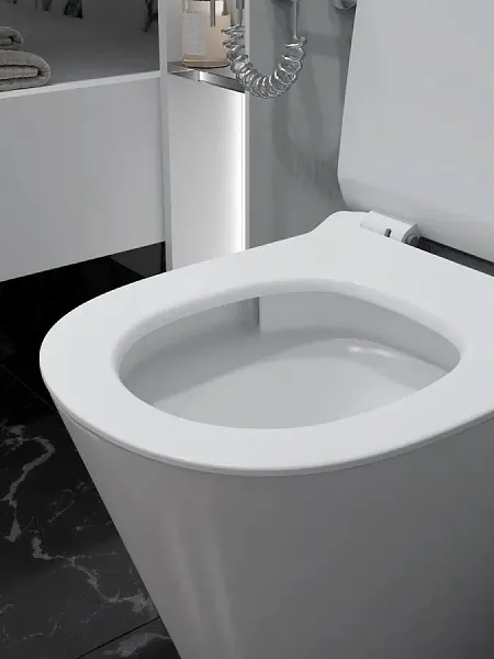 Унитаз подвесной Teymi Rita Pro Vortex W00751 подвесной безободковый с микролифтом фото 11