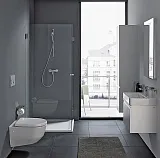 Унитаз Laufen Pro Rimless 8.2096.5.000.000.1 подвесной безободковый фото 5