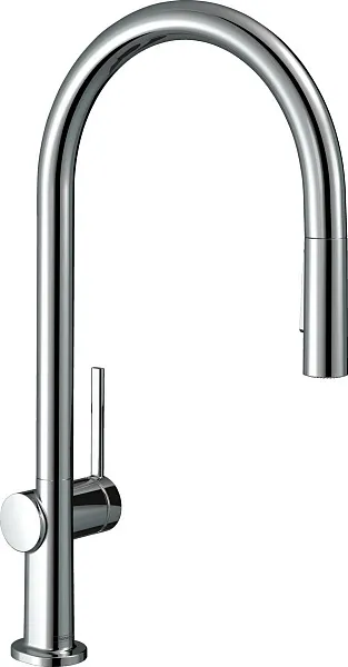 Смеситель Hansgrohe Talis M54 72842000 для кухонной мойки фото 1