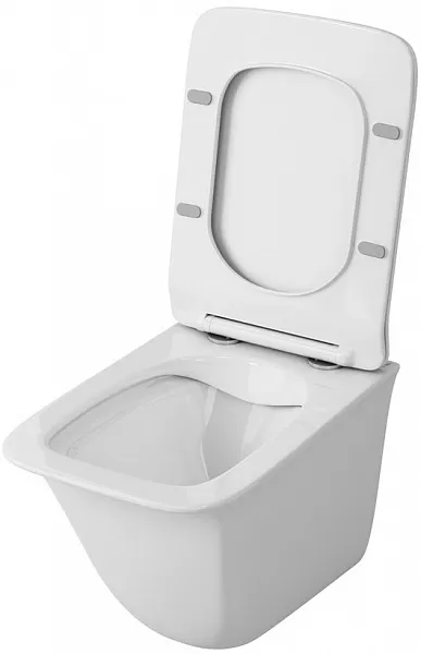 Унитаз OWL 1975 Eter Ruta-H OWLT190203 подвесной безободковый с микролифтом фото 3