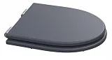 Крышка-сиденье Caprіgo Tempo KFE-TC-L810 с микролифтом фото 1