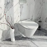 Крышка-сиденье Kerama Marazzi Plaza Modern PLMR1.seat.02\WHT с микролифтом фото 3
