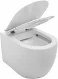 Унитаз Aquanet Cetus-W 211908 подвесной безободковый с микролифтом фото 5