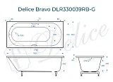 Ванна из искусственного камня Delice Bravo DLR330039RB-G фото 1