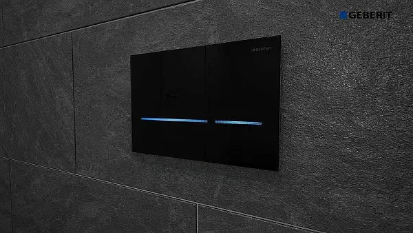 Смывная клавиша для унитазов Geberit Sigma 80 116.090.SG.1 фото 3