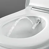 Унитаз Geberit AquaClean Sela 146.224.21.1 подвесной безободковый с микролифтом с биде фото 3