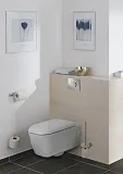 Смывная клавиша для унитазов Grohe Skate Air 38506P00 фото 2