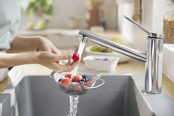 Смеситель Hansgrohe Zesis 74802000 для кухонной мойки фото 3