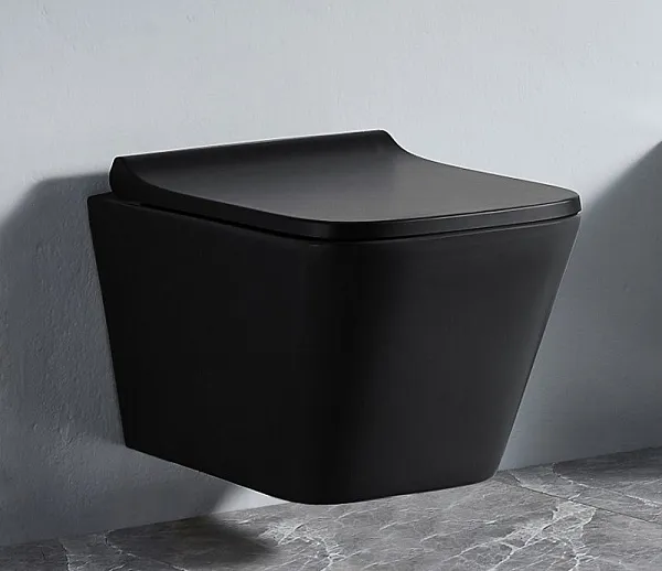 Унитаз Azario Teramo AZ-052-MB подвесной безободковый с сиденьем микролифт фото 2