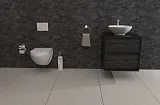 Смывная клавиша для унитазов Berges Wasserhaus Novum 040013 фото 3