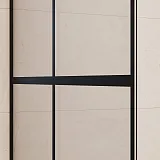 Душевая перегородка RGW Walk In 35102190-84 фото 4