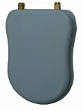 Крышка-сиденье Caprіgo 3813 SFE-BB-L817 с микролифтом фото 1