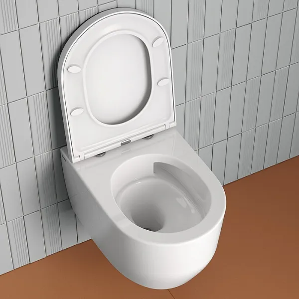 Унитаз Iddis Aiger AIGRDSEi25 подвесной безободковый с сиденьем микролифт фото 11