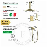 Душевой комплект FILARETE Fing FL1042MG фото 3