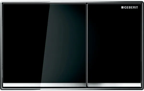 Смывная клавиша для унитазов Geberit Omega 60 115.081.SJ.1 фото 1