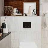 Смывная клавиша для унитазов Lavinia Boho RelFix 38050803 фото 3