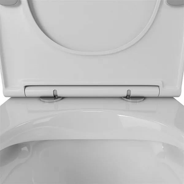 Унитаз OWL 1975 Vatter Ruta-H OWLT190401 подвесной безободковый с микролифтом фото 4