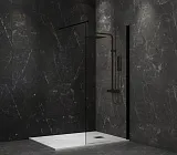 Душевая перегородка PAINI PAINI-WalkIN90C фото 5