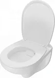 Унитаз подвесной Teymi Mia W00786 подвесной безободковый с микролифтом фото 8