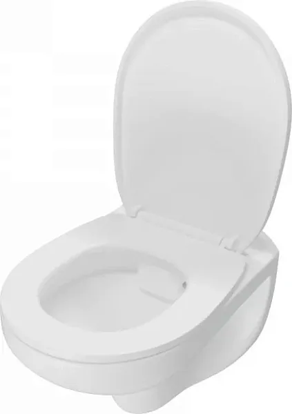 Унитаз подвесной Teymi Mia W00786 подвесной безободковый с микролифтом фото 8