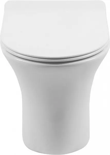 Унитаз Aquanet Roll-W 210766 подвесной безободковый с микролифтом фото 3