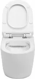 Унитаз Aquanet Cetus-W 211908 подвесной безободковый с микролифтом фото 3
