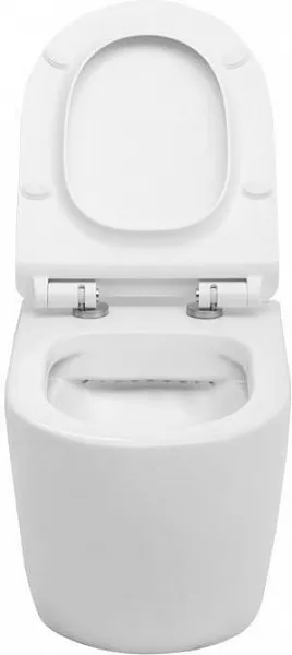Унитаз Aquanet Cetus-W 211908 подвесной безободковый с микролифтом фото 3